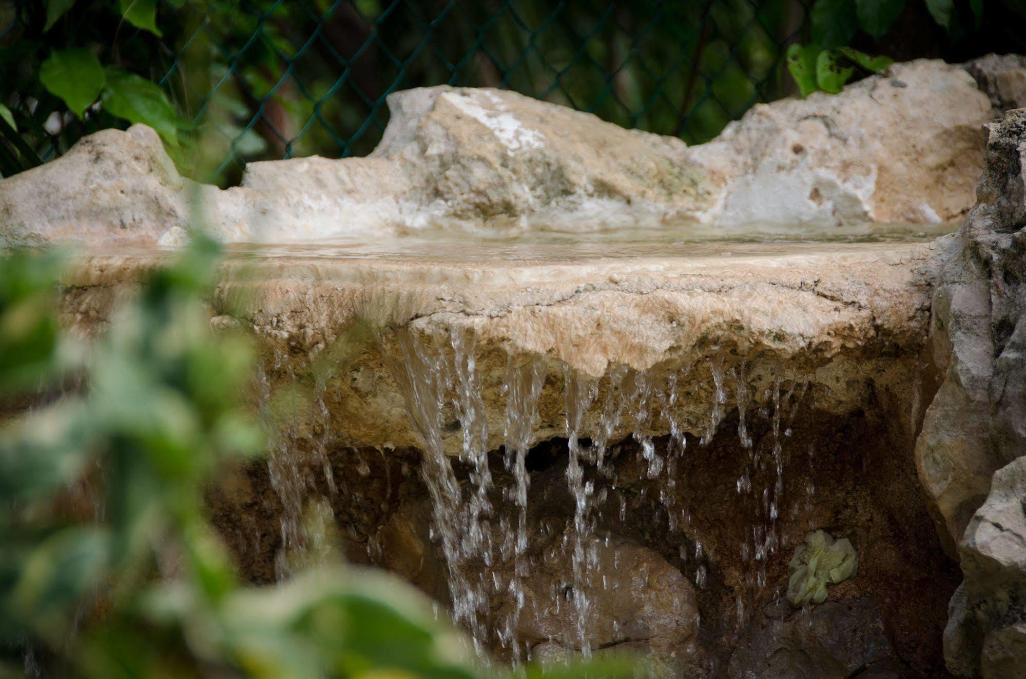 Green Oasis Home Boutique Playa del Carmen Bagian luar foto