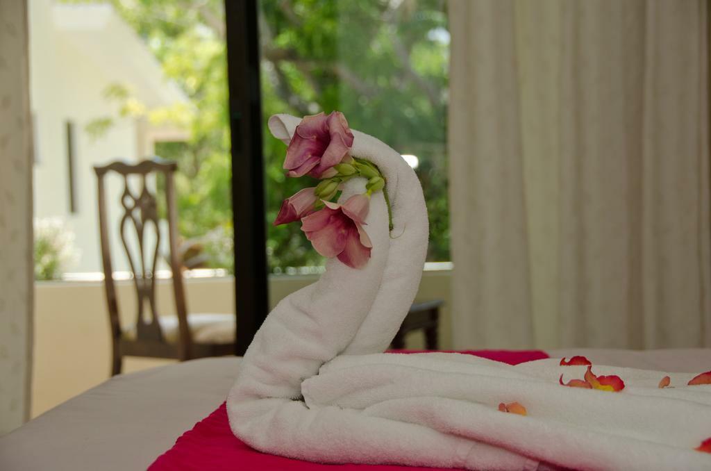 Green Oasis Home Boutique Playa del Carmen Bagian luar foto